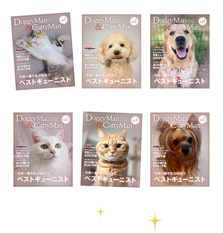 雑誌風フレーム優秀作品