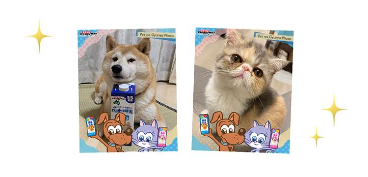 キャラクターフレーム優秀作品
